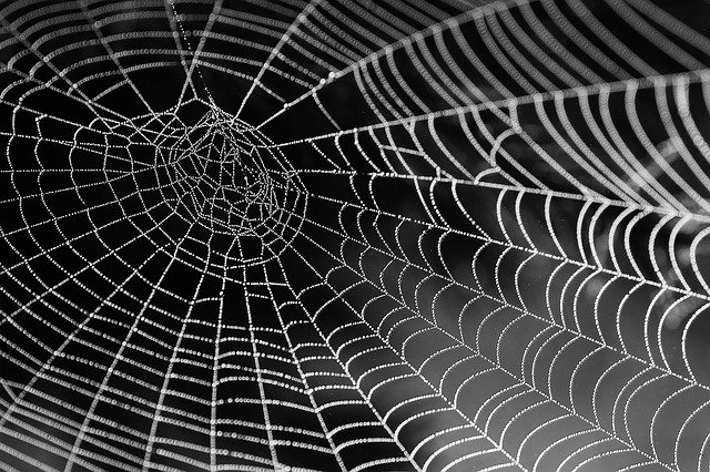 cyber security, cyber attacks, the dark web, How Does the Dark Web Operate?