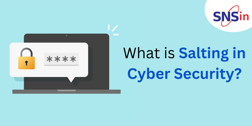 What is Salting in Cyber Security?