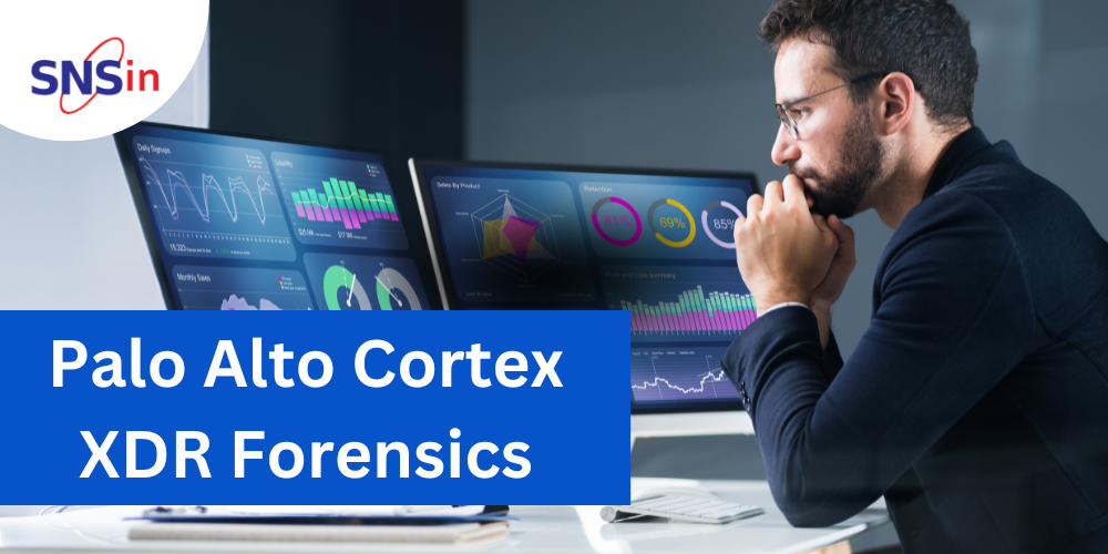 Palo Alto Cortex XDR Forensics
